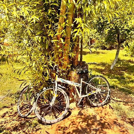 Eco House Summer Garden Kaji-Say Εξωτερικό φωτογραφία