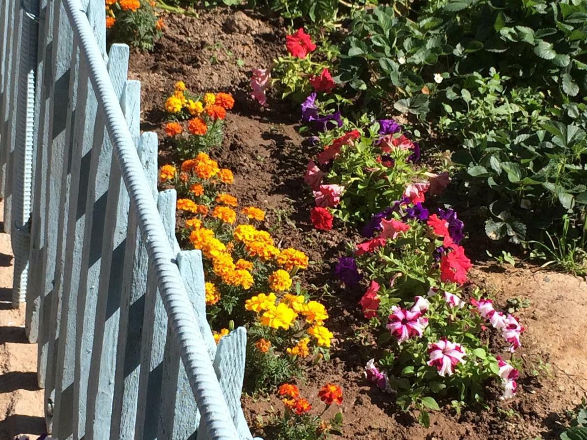 Eco House Summer Garden Kaji-Say Εξωτερικό φωτογραφία