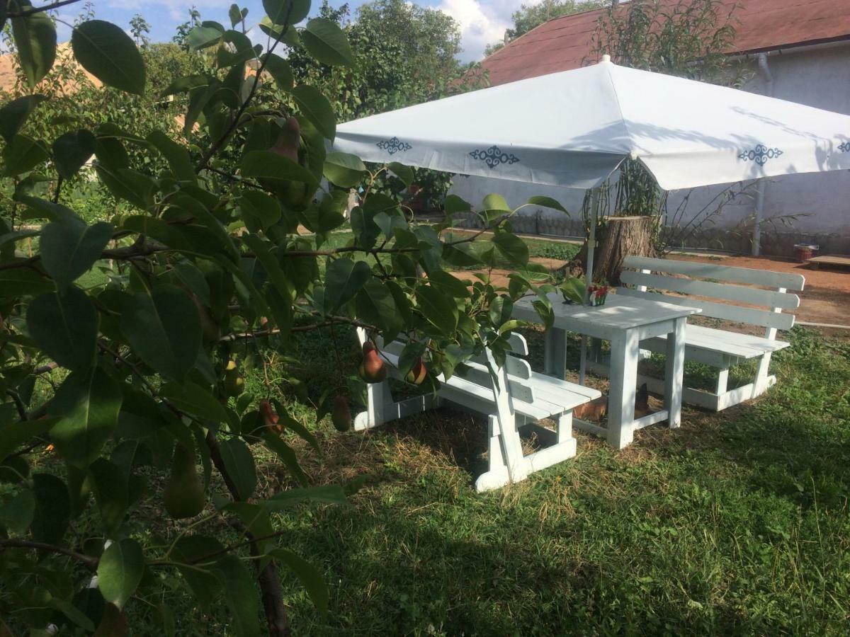 Eco House Summer Garden Kaji-Say Εξωτερικό φωτογραφία