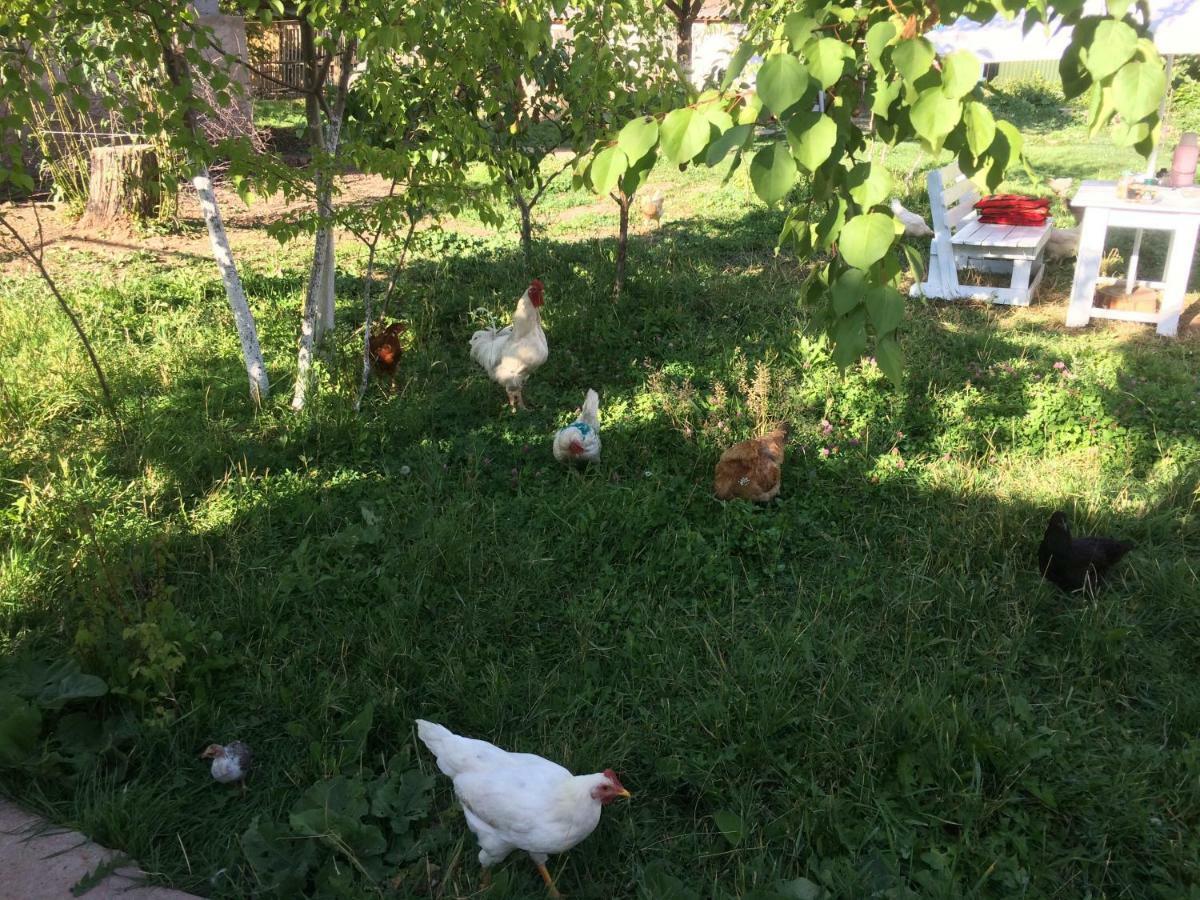 Eco House Summer Garden Kaji-Say Εξωτερικό φωτογραφία